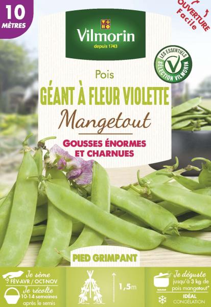 Légumes Secs - Pois Mangetout Géant à Fleur Violette - 10 m - PACKAGING_RECTO